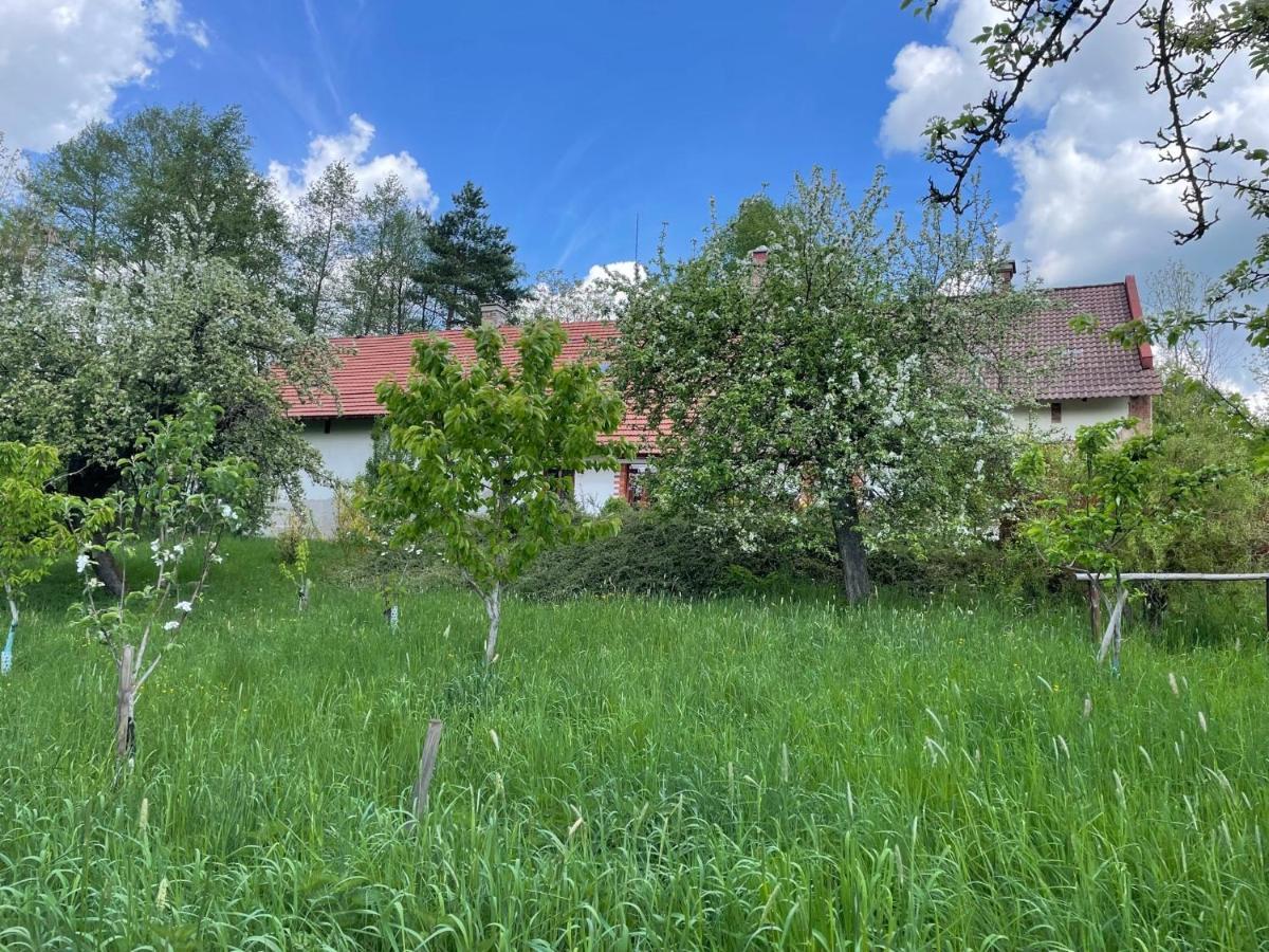Hlinne V Orlickych Horach Dobre ภายนอก รูปภาพ